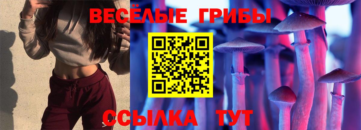 Галлюциногенные грибы ЛСД Обнинск